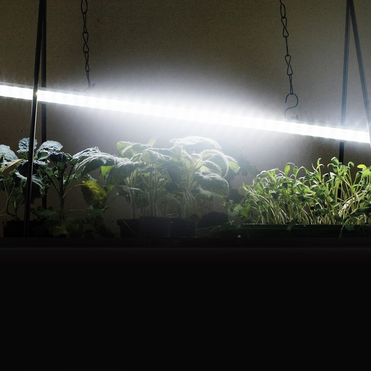 Växtbelysning, LED-ramp 23W No. 1