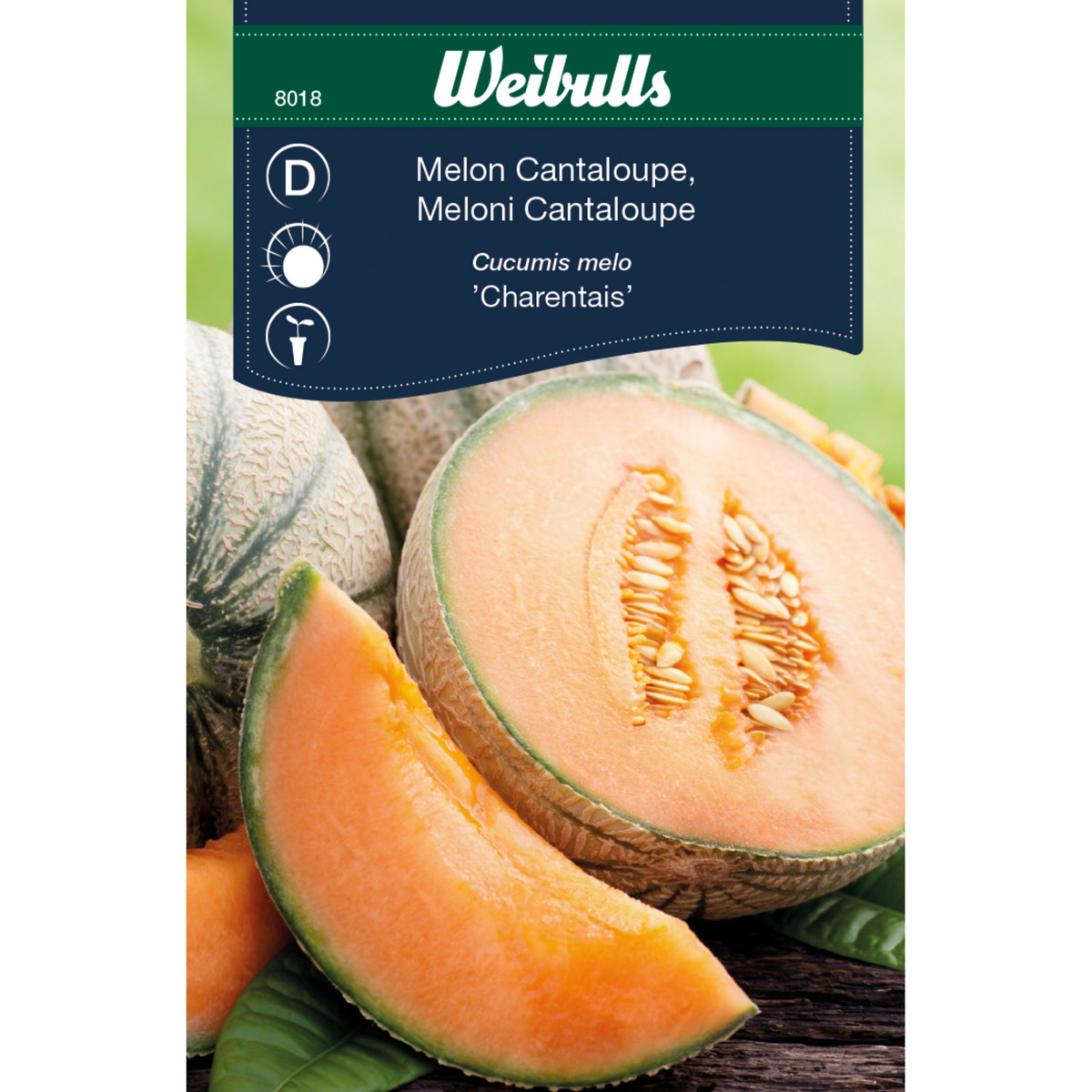 Melon, Cantaloupe Charentais