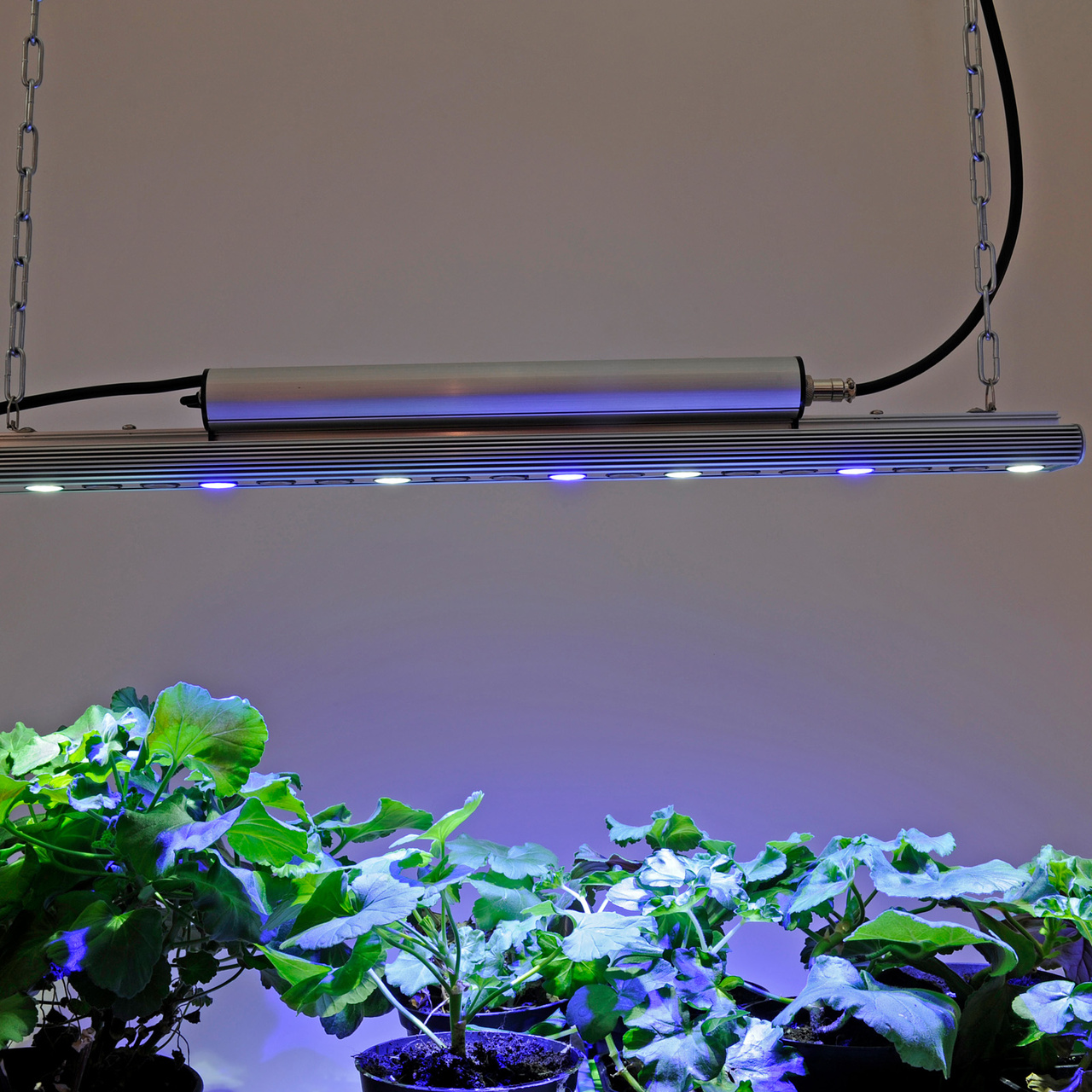 Växtbelysning, LED-ramp Quattro 35W